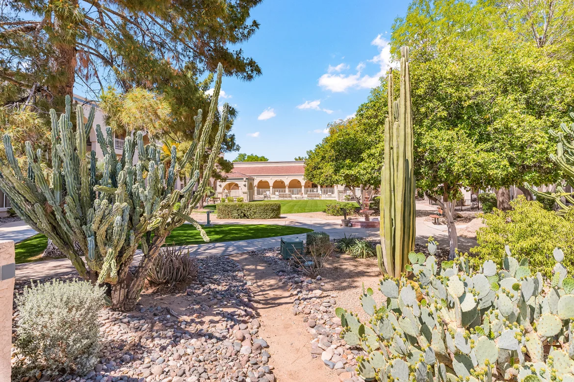 Sun City West gardens