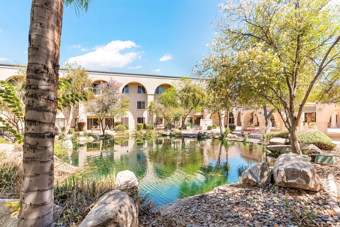 Sun City West gardens